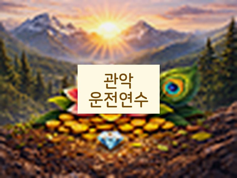 관악운전연수 후기