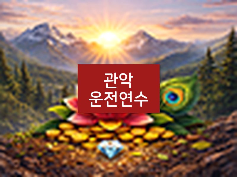 관악운전연수 후기