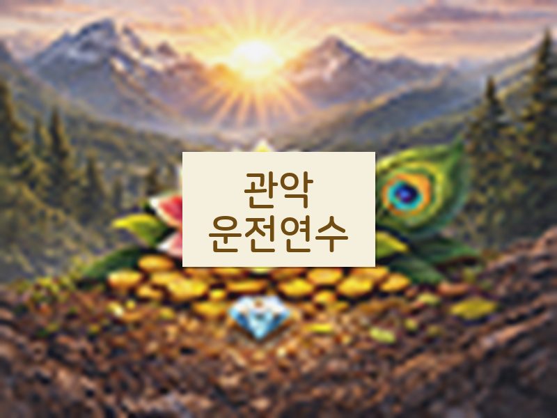 관악운전연수 후기
