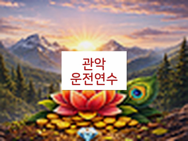 관악운전연수 후기