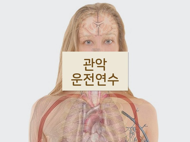 관악운전연수 후기