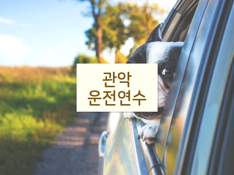 관악운전연수 후기