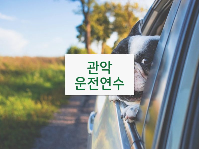관악운전연수 후기