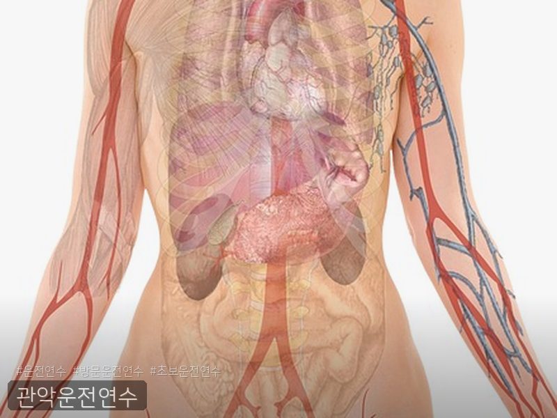 관악운전연수 후기