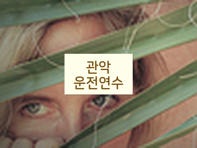 관악운전연수 후기