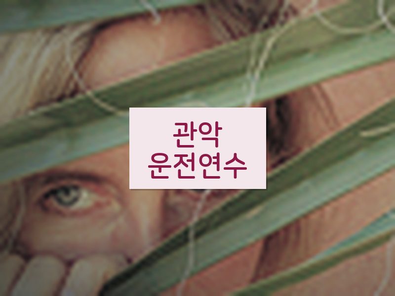 관악운전연수 후기
