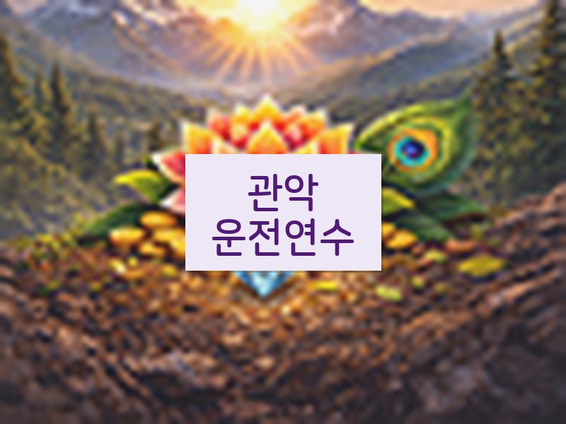 관악운전연수 후기