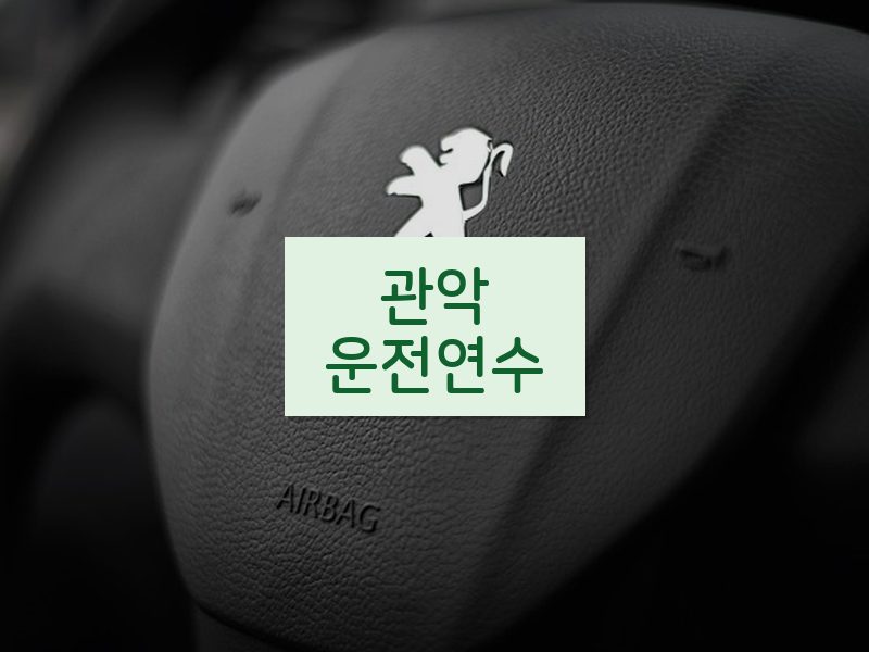 관악운전연수 후기