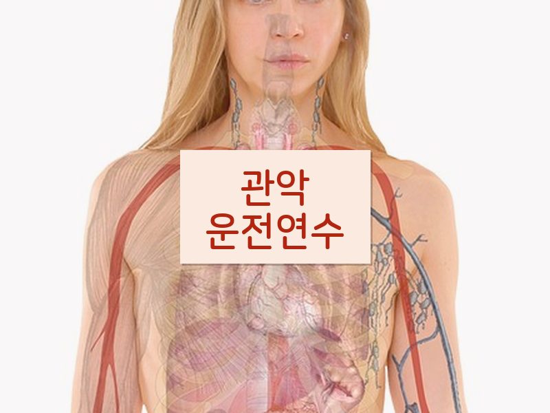 관악운전연수 후기