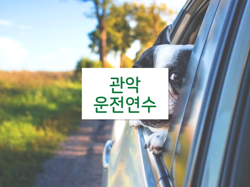 관악운전연수 후기