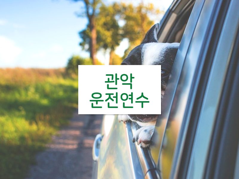 관악운전연수 후기