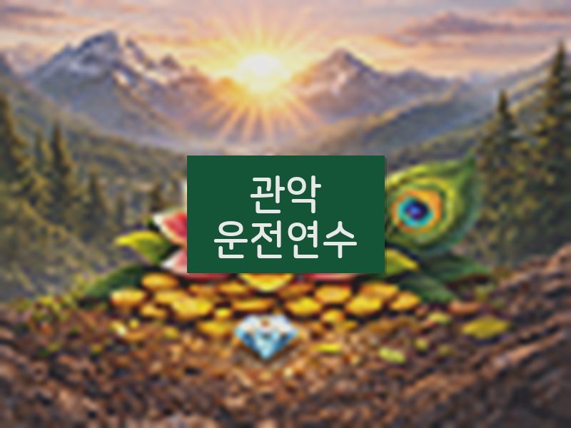 관악운전연수 후기