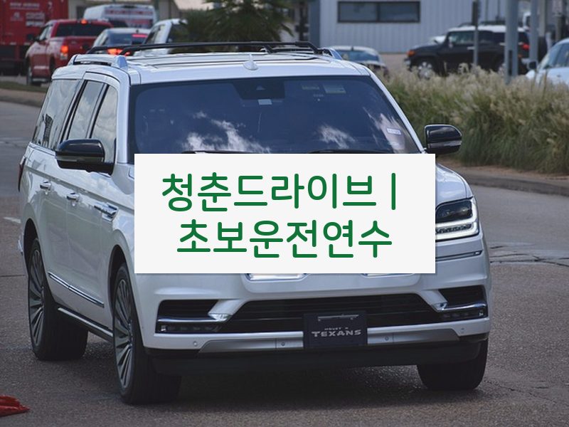 청춘드라이브 | 초보운전연수 후기