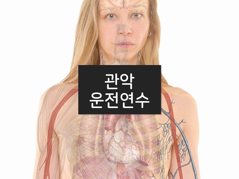 관악운전연수 후기