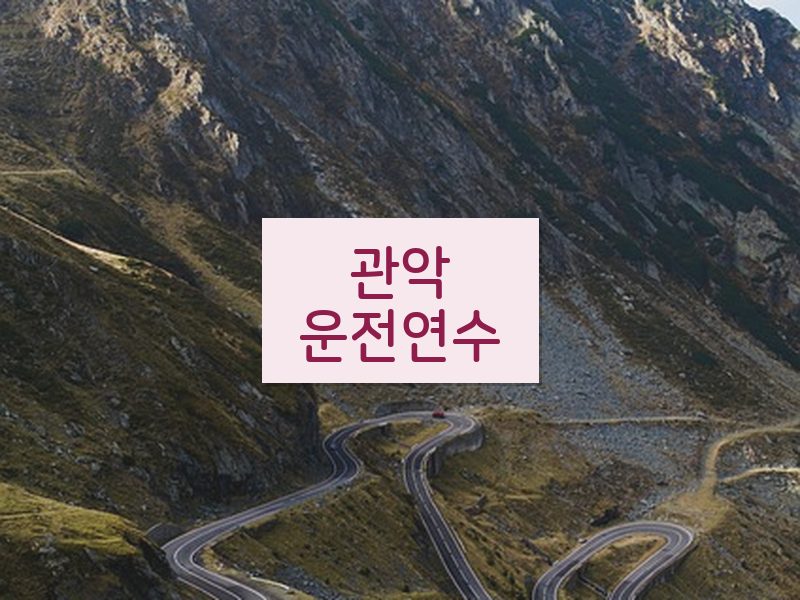 관악운전연수 후기