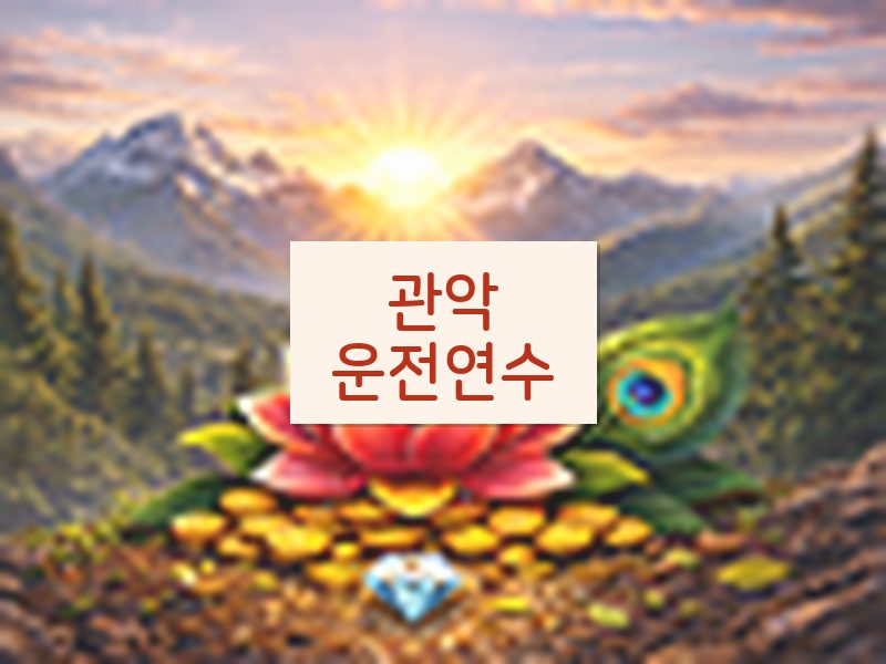 관악운전연수 후기