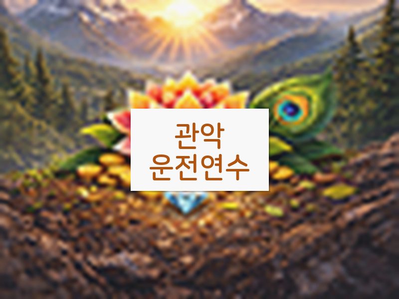 관악운전연수 후기
