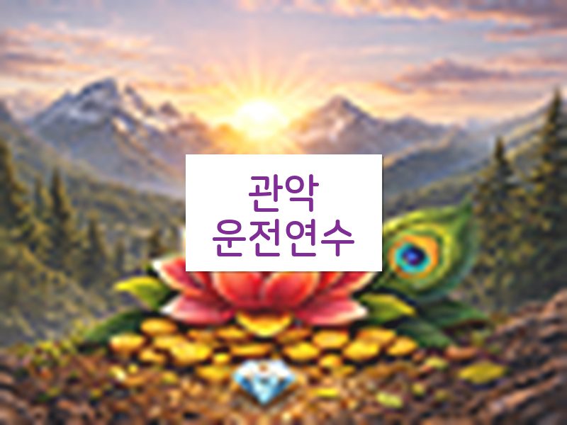 관악운전연수 후기