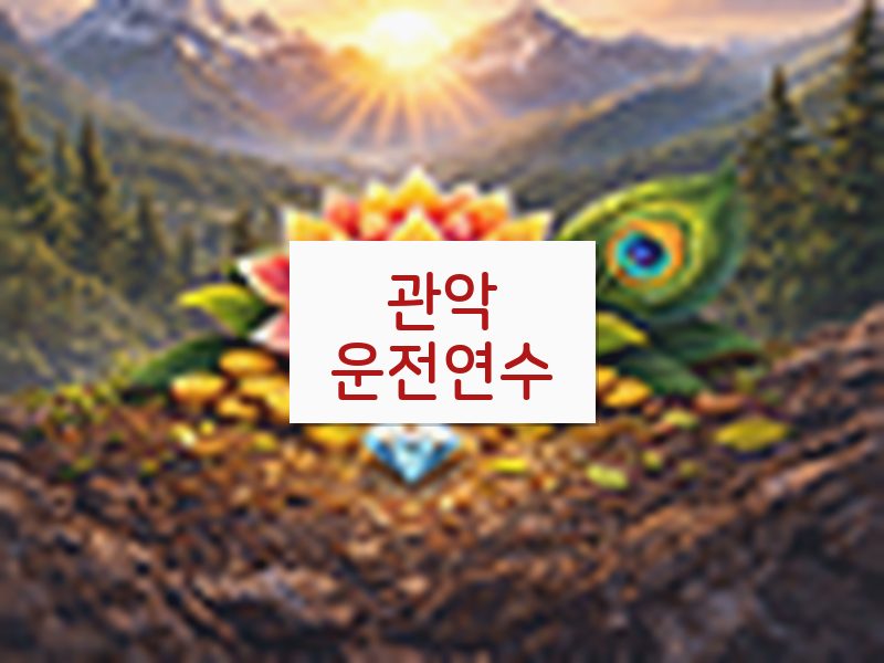 관악운전연수 후기