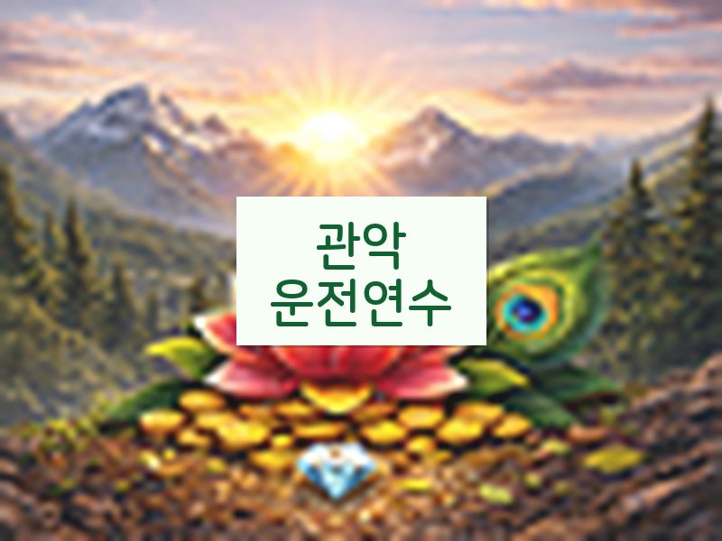 관악운전연수 후기