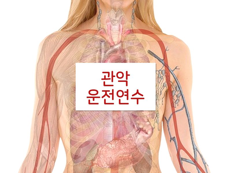 관악운전연수 후기