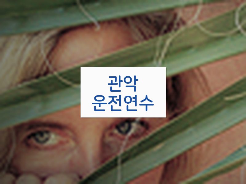 관악운전연수 후기