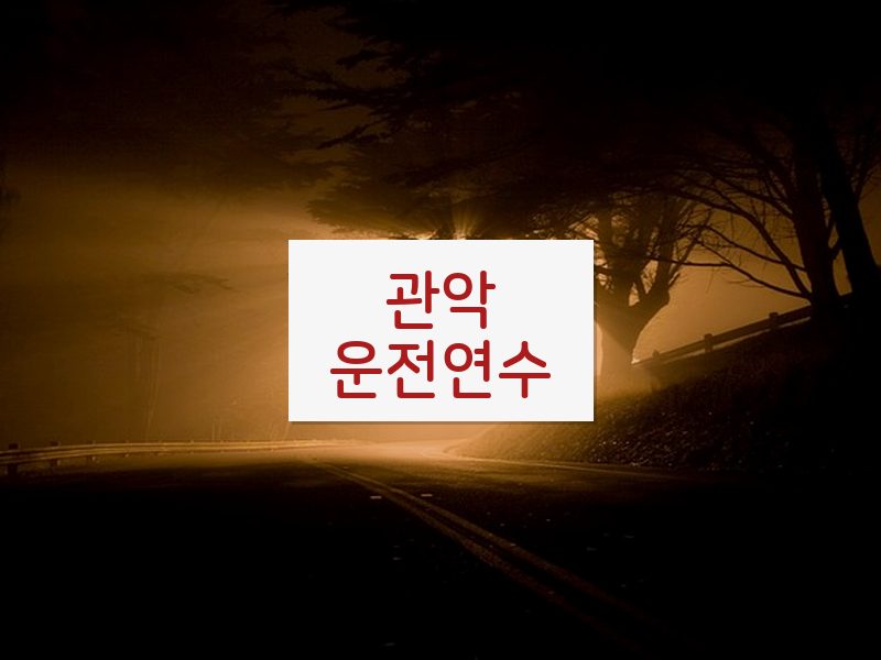 관악운전연수 후기