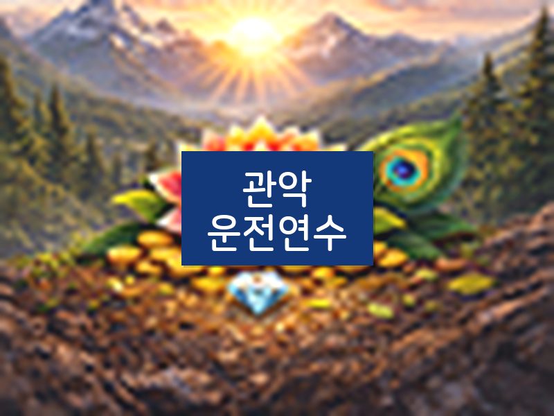 관악운전연수 후기