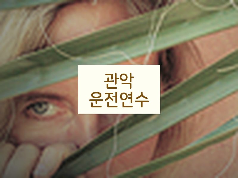 관악운전연수 후기
