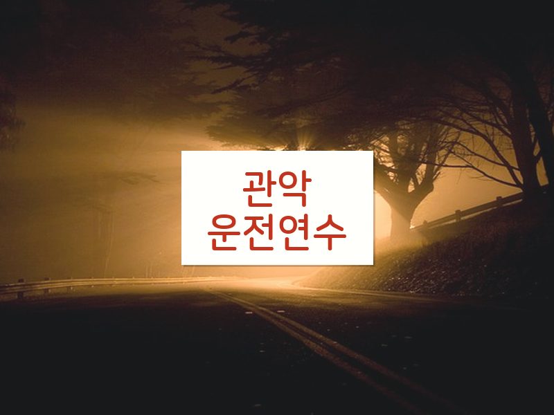 관악운전연수 후기