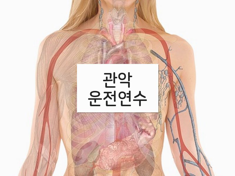 관악운전연수 후기