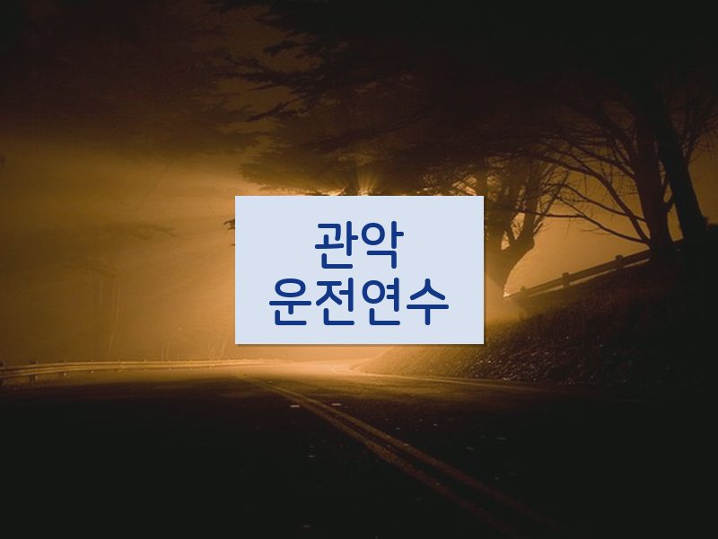 관악운전연수 후기