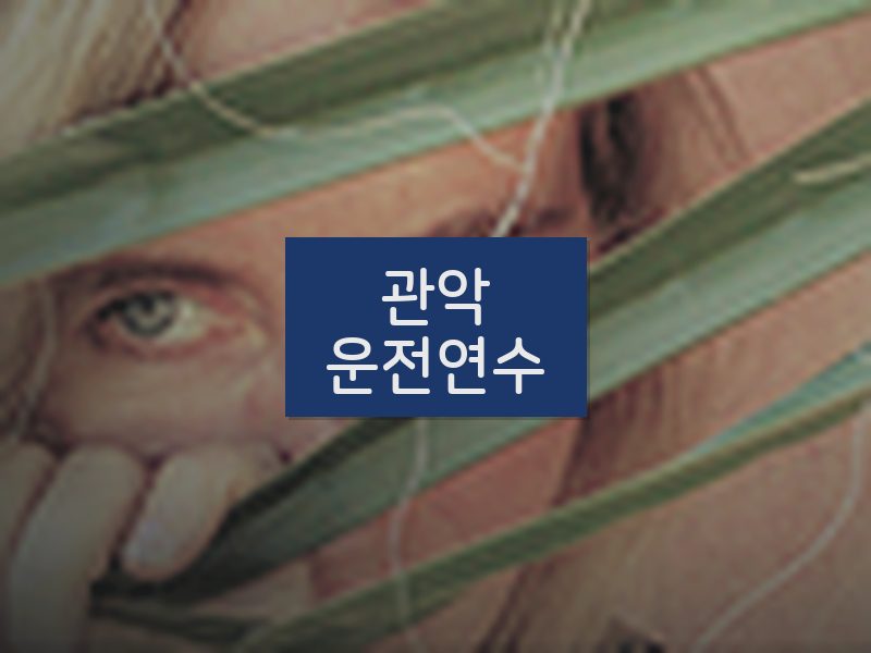 관악운전연수 후기