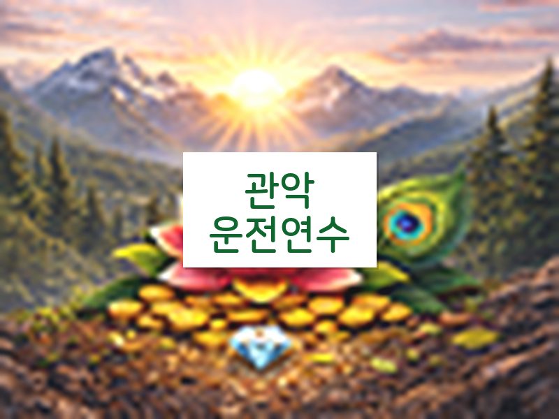 관악운전연수 후기