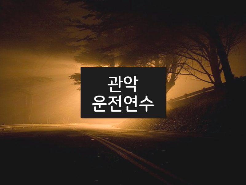 관악운전연수 후기