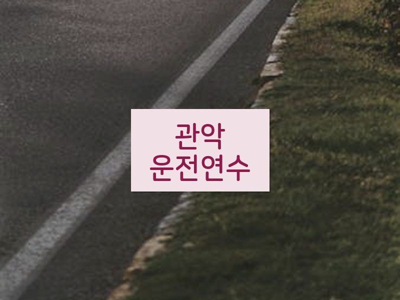 관악운전연수 후기
