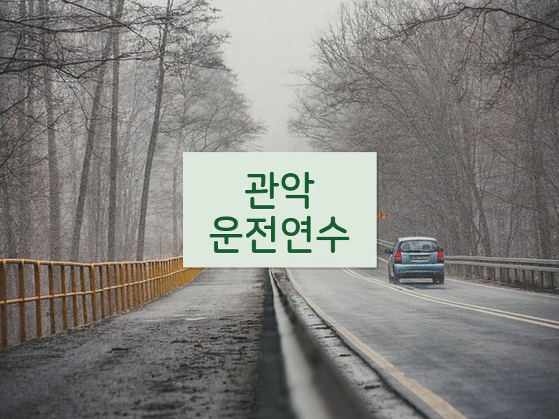 관악운전연수 후기
