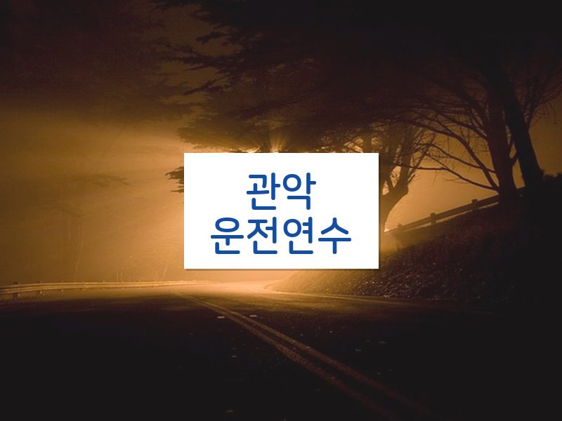 관악운전연수 후기