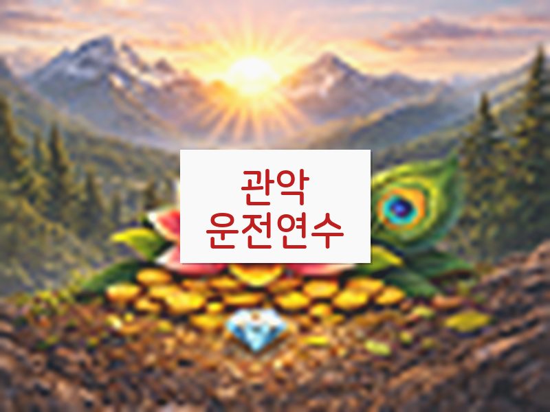 관악운전연수 후기