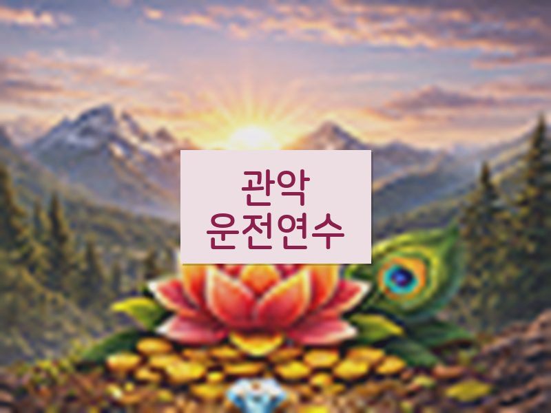 관악운전연수 후기