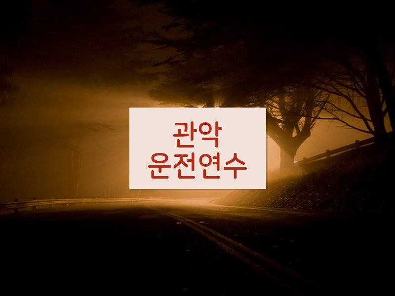 관악운전연수 후기