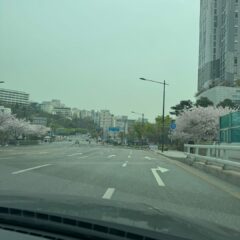 관악운전연수 강력 추천합니다