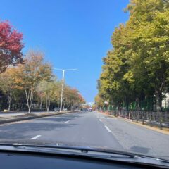 하남 하남운전연수 가격 및 후기