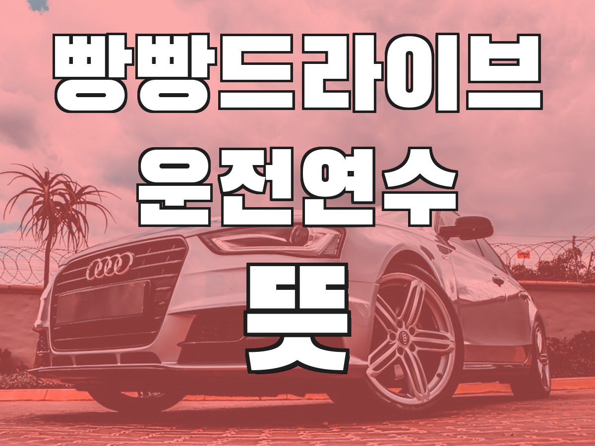 빵빵드라이브 운전연수 뜻 - 운전연수의 의미와 필요성