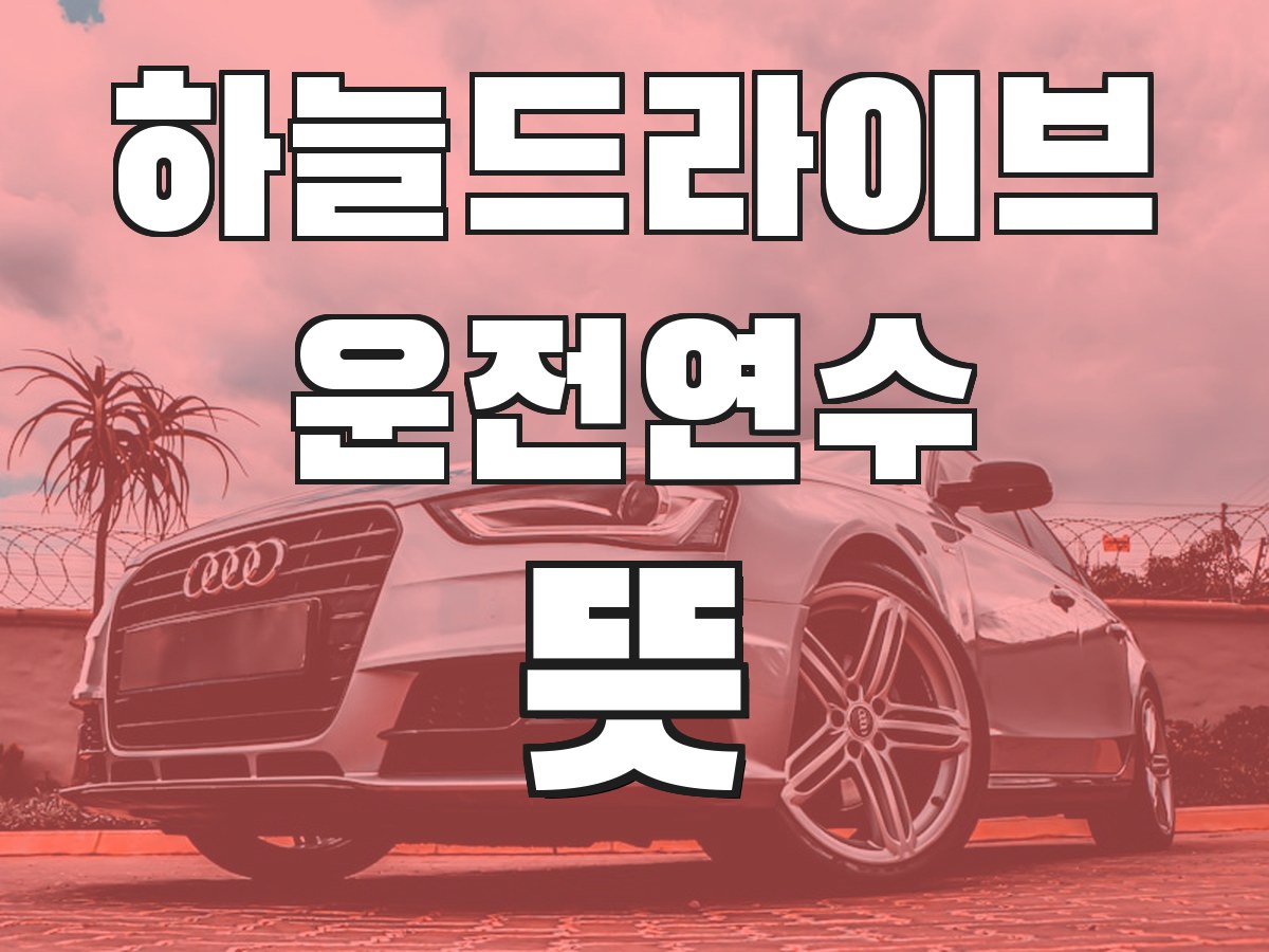 하늘드라이브 운전연수 뜻 - 운전연수의 의미와 필요성