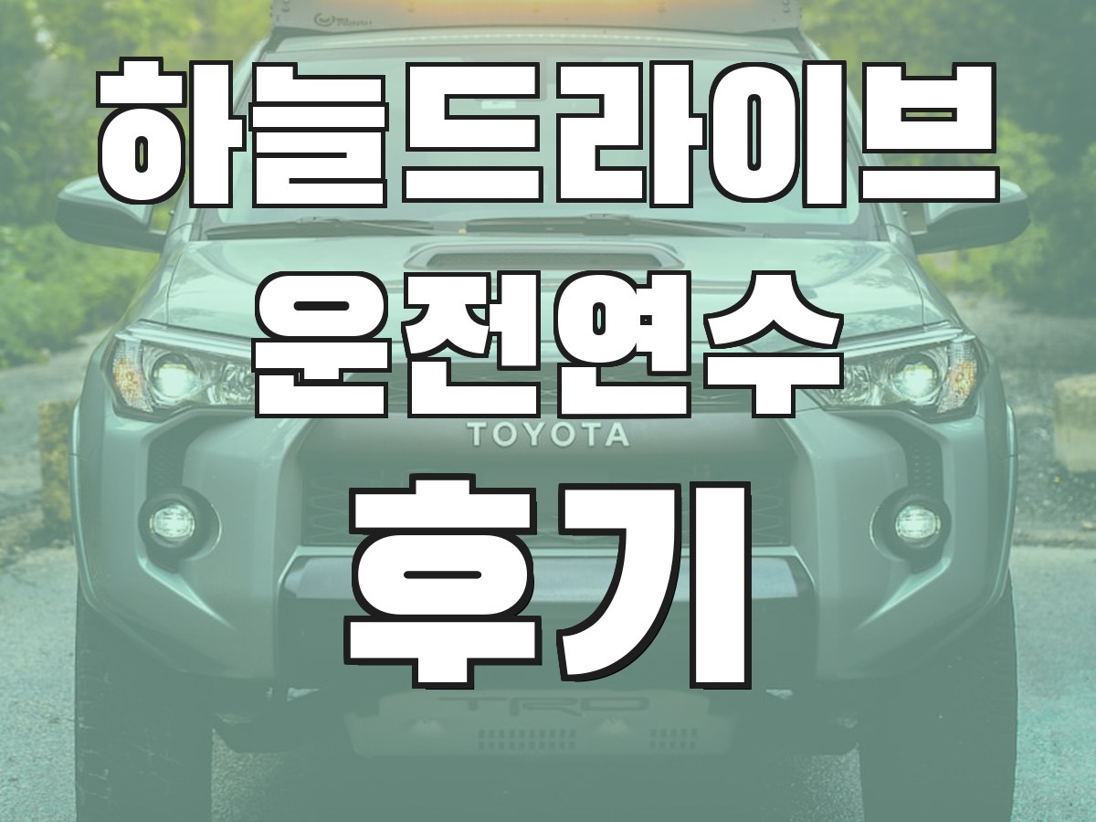 하늘드라이브 운전연수 후기 - 실제 수강생 후기